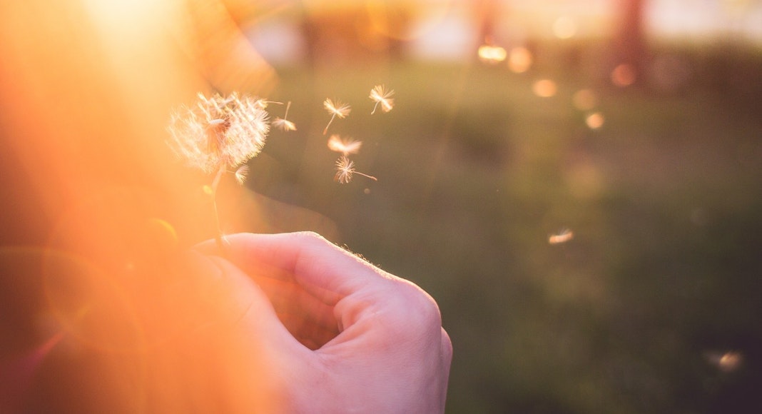 viktor-hanacek-sunny-