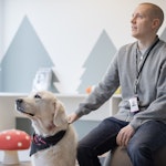 HiQ:n toimistokoira Onni on myös yrityksen epävirallinen maskotti.