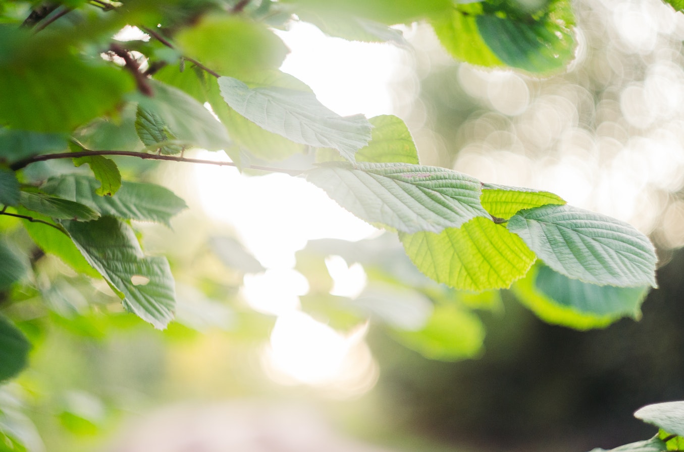 Lähihoitajia läntisen palvelualueen kotihoitoon