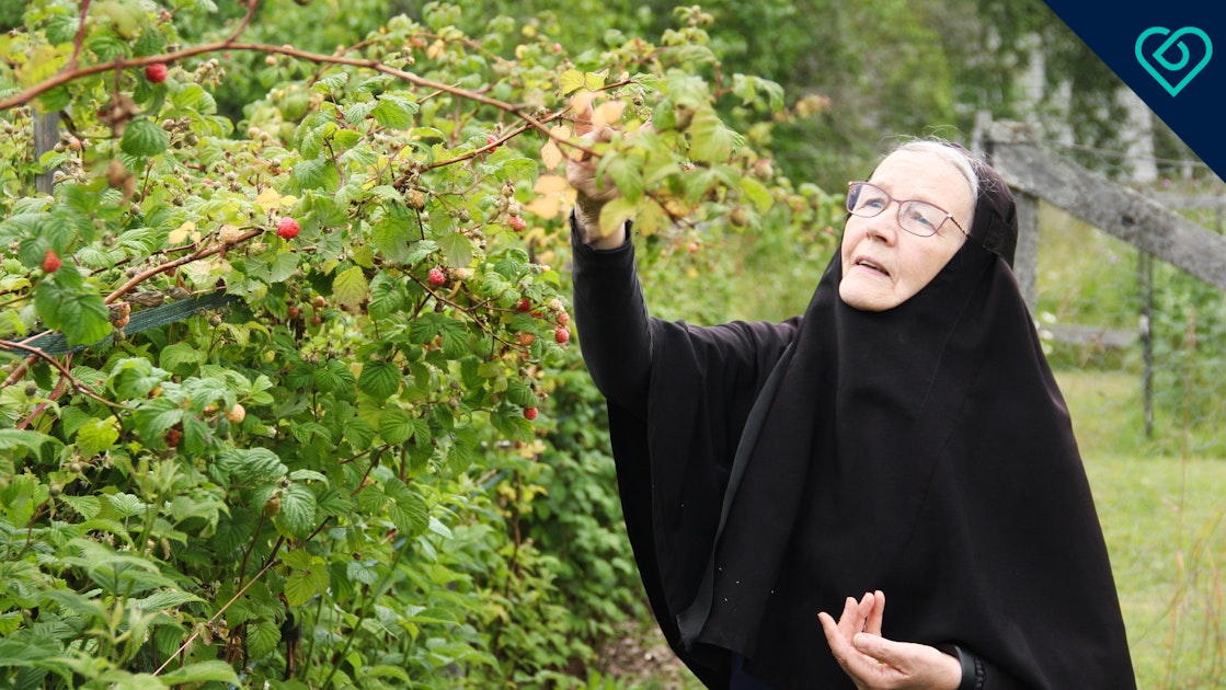 Nunna Nektaria jätti työnsä ja omaisuutensa – erikoinen tapaus johti  elämään luostarissa - Duunitori